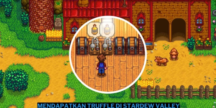 Cara mendapatkan truffle di stardew valley