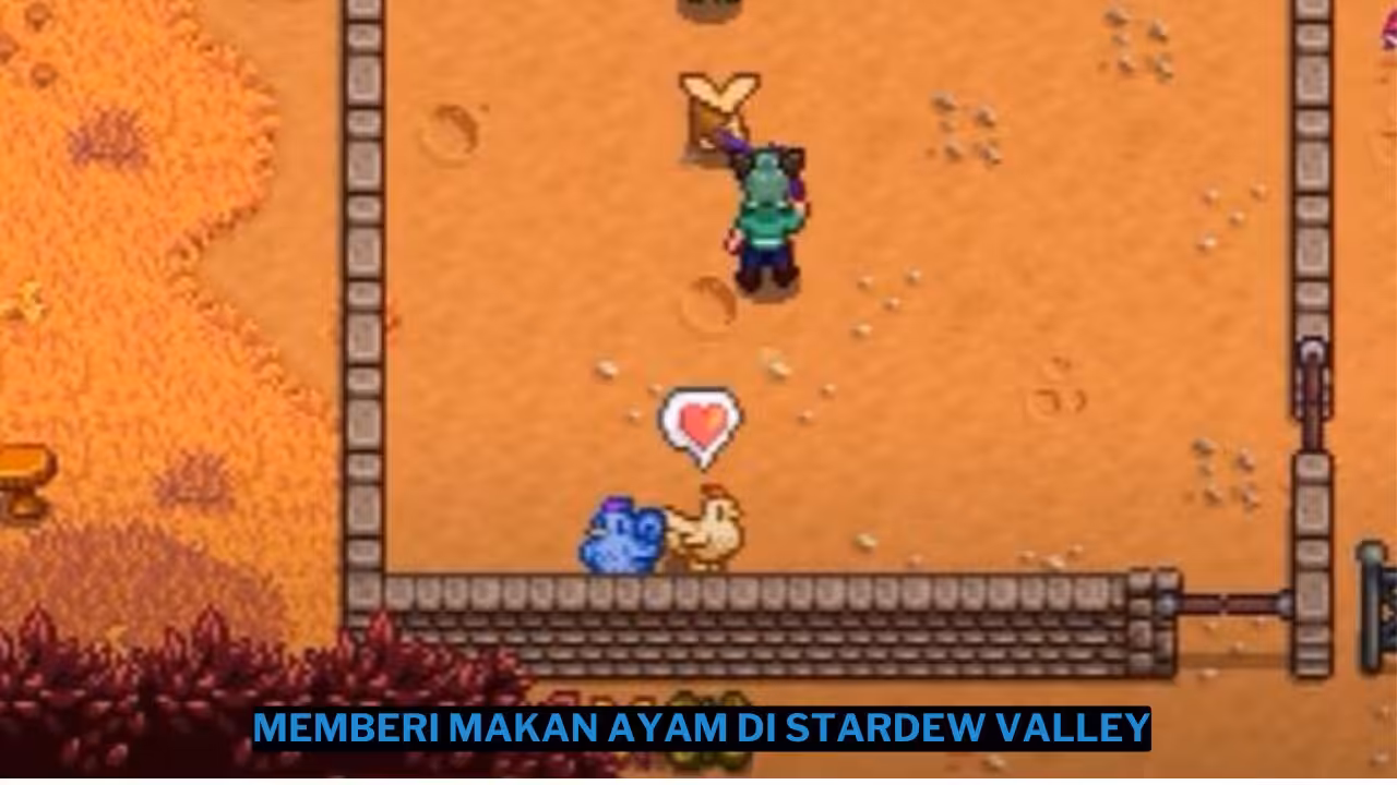 Cara Memberi Makan Ayam di Stardew Valley