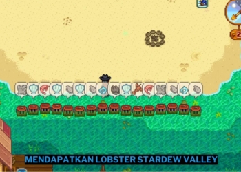 Cara mendapatkan lobster di stardew valley