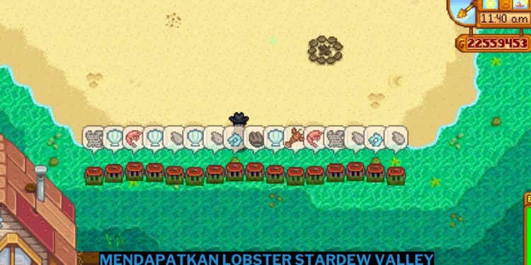 Cara mendapatkan lobster di stardew valley