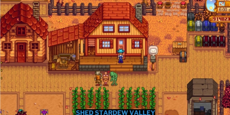 Shed stardew valley