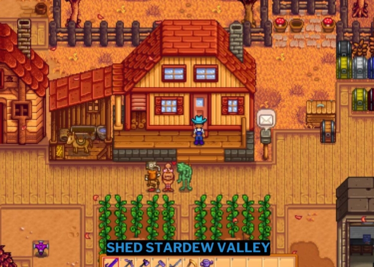 Shed stardew valley