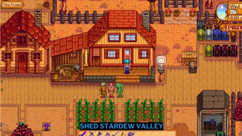 Shed Stardew Valley