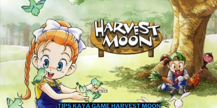 8 tips cepat kaya di game harvest moon: back to nature