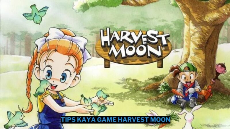 8 Tips Cepat Kaya di Game Harvest Moon: Back to Nature