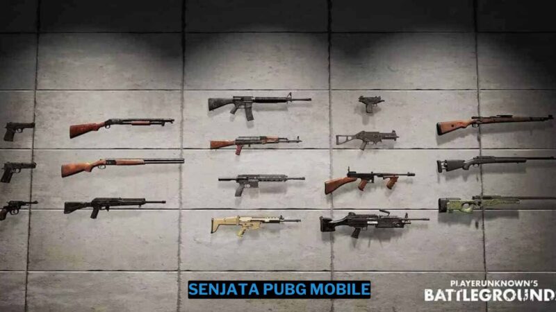 Daftar Lengkap Senjata PUBG Mobile Terbaru