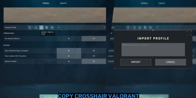 Copy crosshair valorant