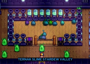 Cara ternak slime stardew valley