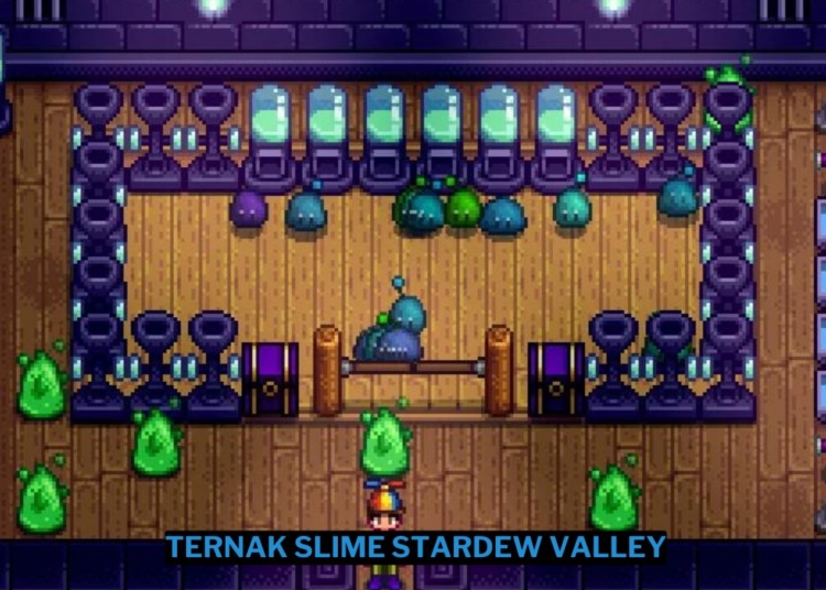 Cara ternak slime stardew valley