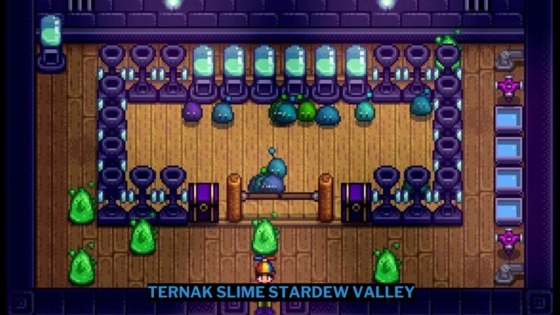 Cara Ternak Slime Stardew Valley