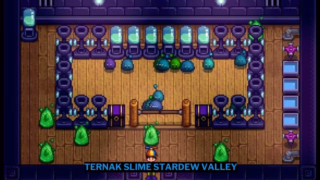 Cara Ternak Slime Stardew Valley