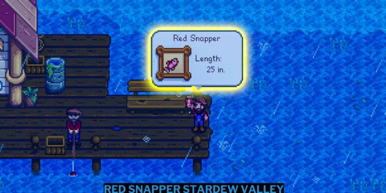 Cara mendapatkan red snapper stardew valley