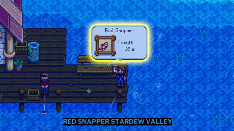 Cara Mendapatkan Red Snapper Stardew Valley