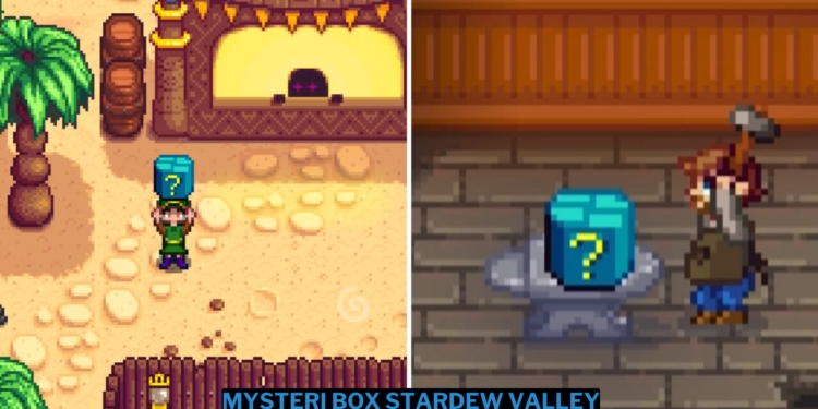 Panduan mysteri box di stardew valley