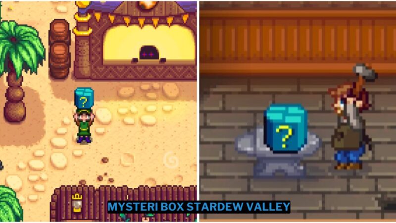 Panduan Mysteri Box di Stardew Valley