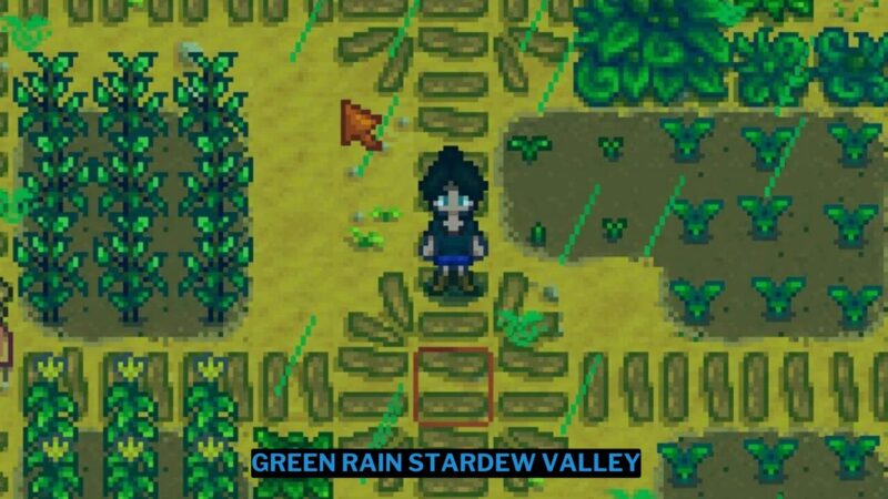 Green Rain Stardew Valley