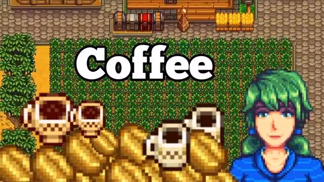 Biji Kopi Stardew Valley Cara Mengolah Dan Menemukan