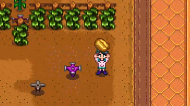 Cara Menemukan Biji Kopi Stardew Valley