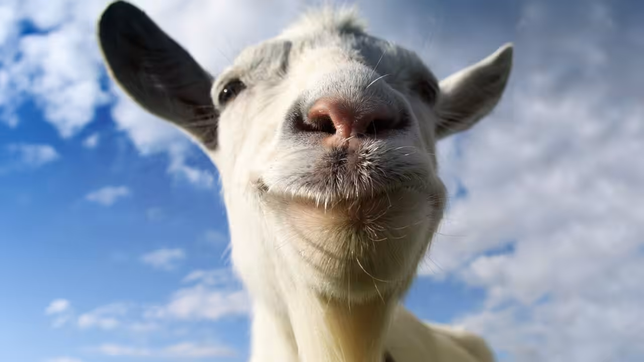 Bocoran: Goat Simulator Dapat Versi Remaster 6 Bocoran: Goat Simulator Dapat Versi Remaster