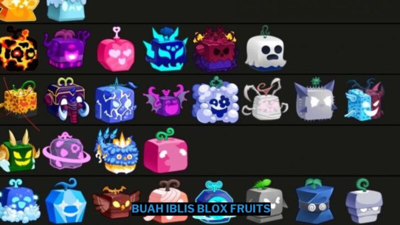 5 Buah Iblis Blox Fruits Terbaik