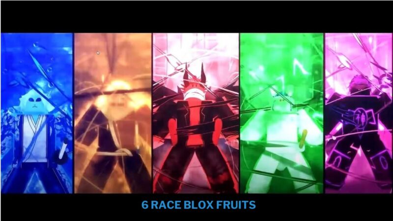 Inilah 6 Race Blox Fruits