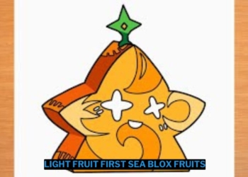 Alasan light fruit buah terbaik first sea blox fruits