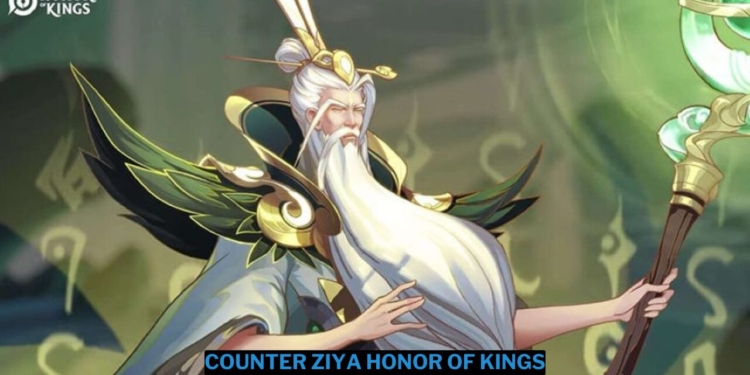 3 hero counter ziya honor of kings terbaik