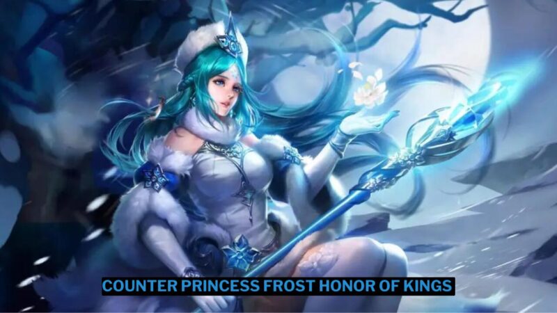 3 Hero Counter Princess Frost Honor of Kings Terbaik