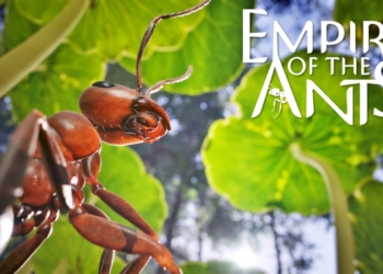 Tanggal rilis empire of the ants diumumkan