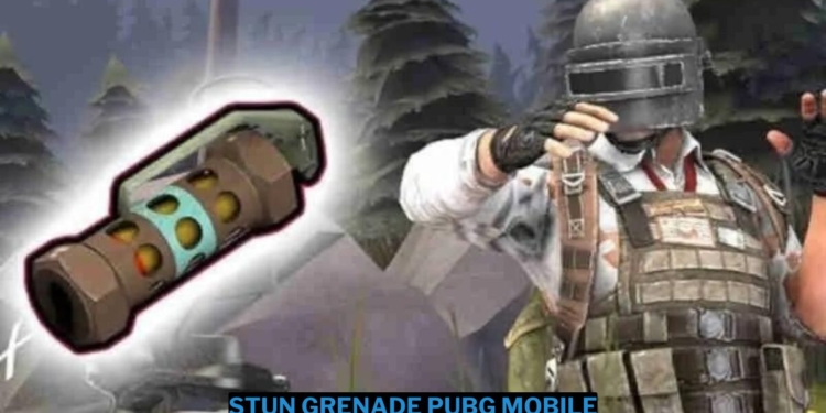 Inilah fungsi stun grenade pubg mobile