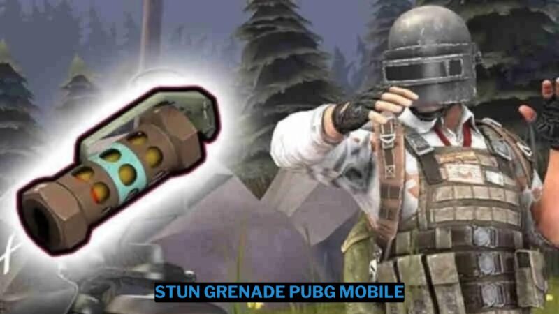 Inilah Fungsi Stun Grenade PUBG Mobile