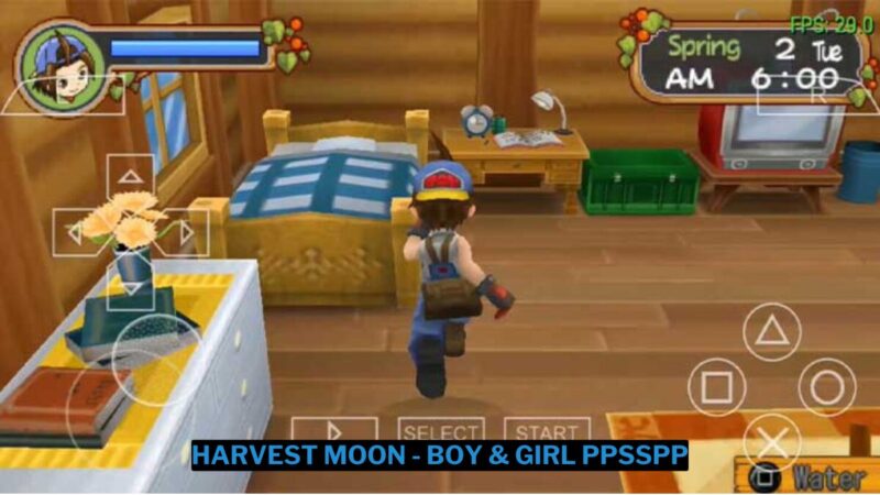 Download Harvest Moon Boy & Girl Ppsspp Iso Kecil