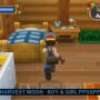 Download harvest moon boy & girl ppsspp iso kecil