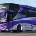 Livery bussid ratu maher sjm trans apk support