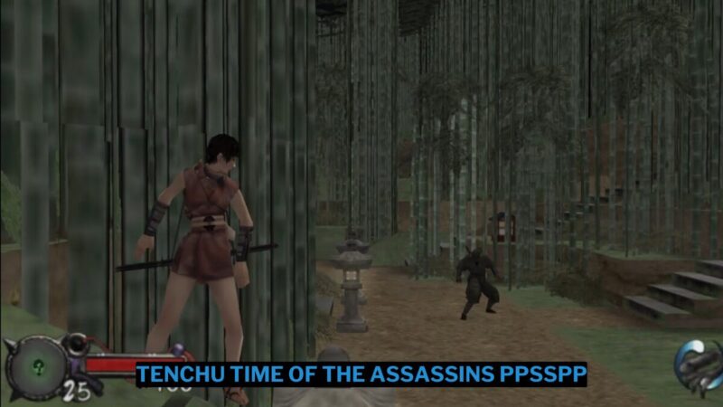 Download Tenchu Time Of The Assassins Ppsspp Iso Kecil Terbaru