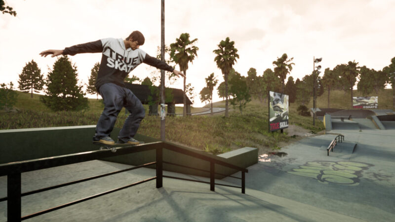 Download game true skate steam