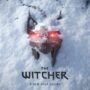 Cdpr project polaris akan lebih baik dari the witcher 3 dan cyberpunk 2077