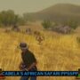 Download cabela's african safari ppsspp iso ukuran kecil