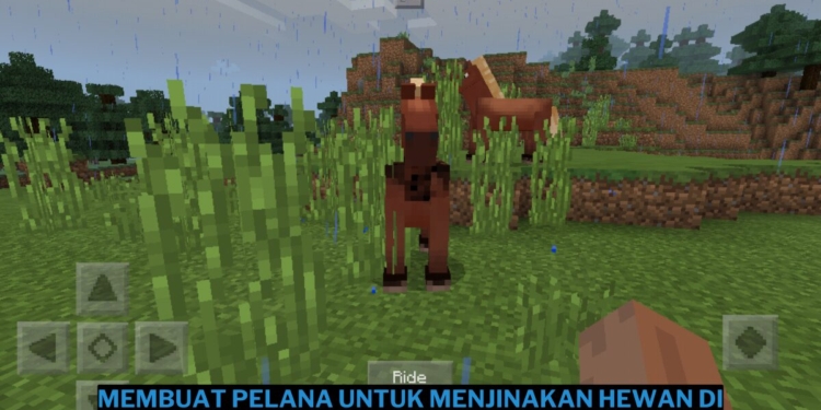 Cara membuat pelana untuk menjinakan hewan di minecraft