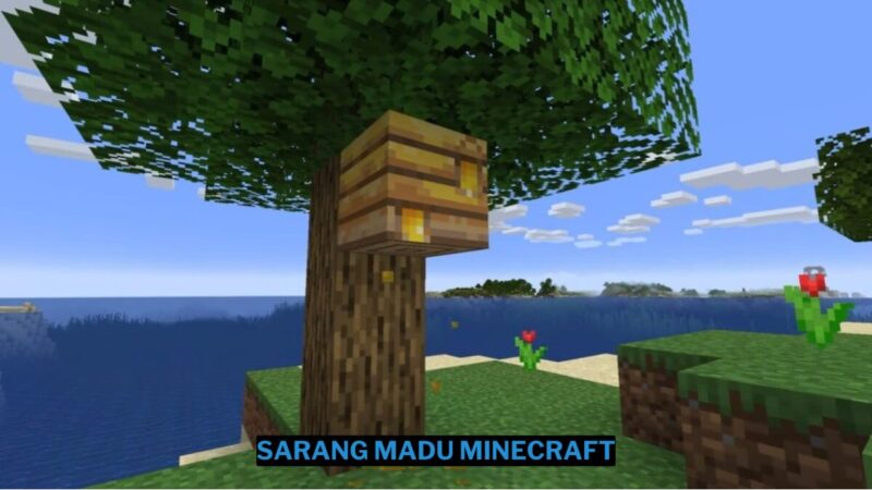 Cara Mendapatkan Sarang Madu Di Minecraft Mudah