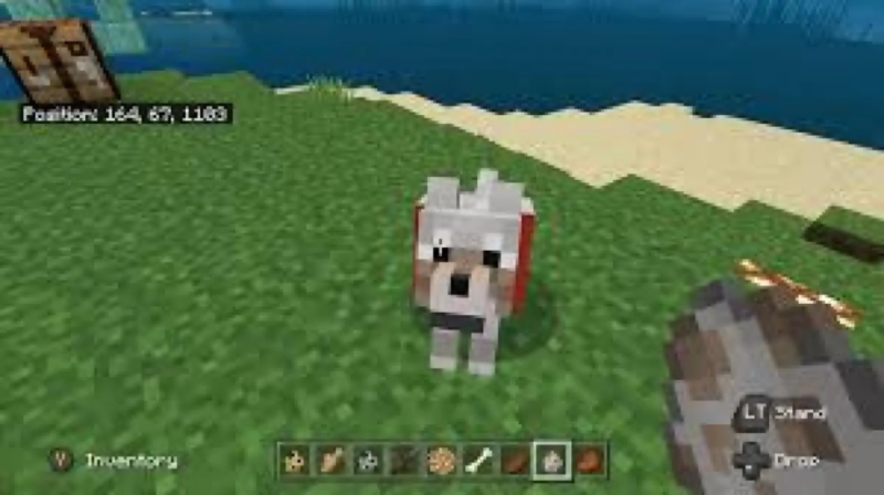 4 cara menangkap hewan di minecraft dengan mudah