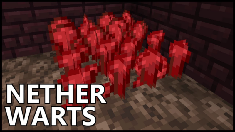 Cara mudah panen nether wart di minecraft untuk pemula!