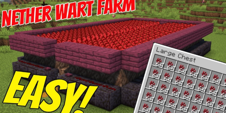 Cara panen nether wart di minecraft untuk pemula!