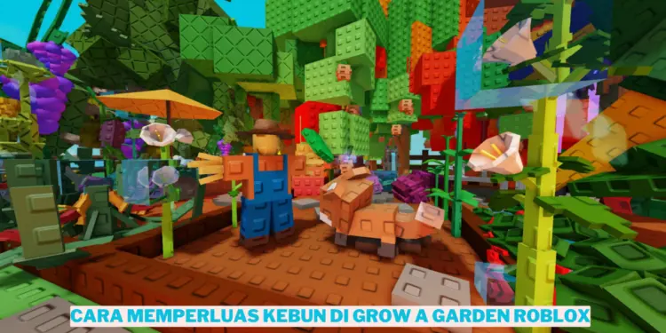 Cara memperluas kebun di grow a garden roblox