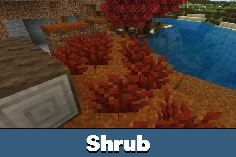 Minecraft 1.26.40.5