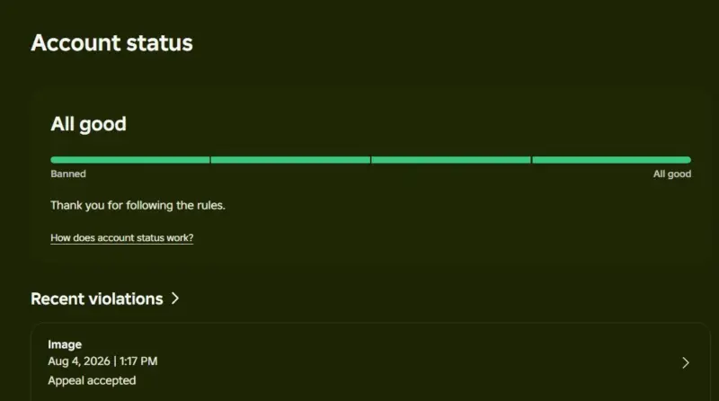 Roblox Safety Dashboard